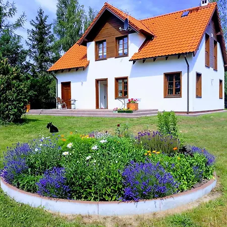 Wyskok 1 - Dom Z Widokiem Srokowo